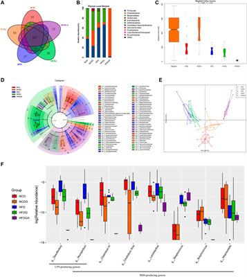 Diammonium Glycyrrhizinate Ameliorates Obesity Through Modulation of Gut Microbiota-Conjugated BAs-FXR Signaling